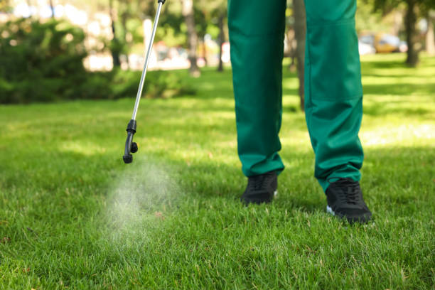 Best Ant Control Services  in Lincoln, MT