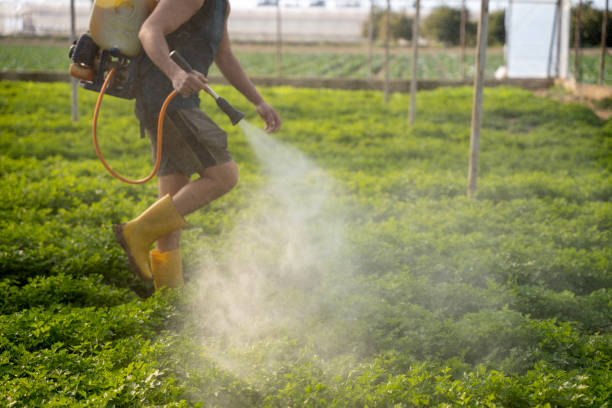 Best Best Pest Control Companies  in Lincoln, MT