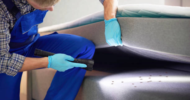 Best Residential Pest Control  in Lincoln, MT