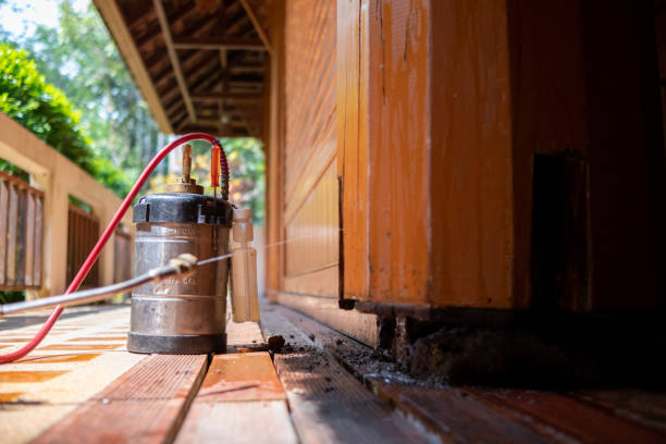 Best Local Pest Control Services  in Lincoln, MT