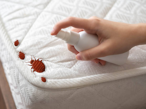 Best Pest Control for Restaurants  in Lincoln, MT